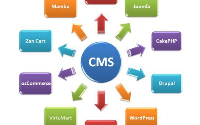 Content Management System بلاگ