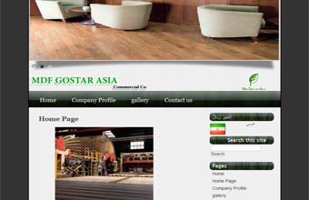 mg asia نمونه کار طراحی سایت