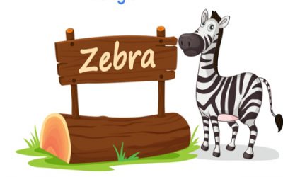 zebra algorithm بلاگ
